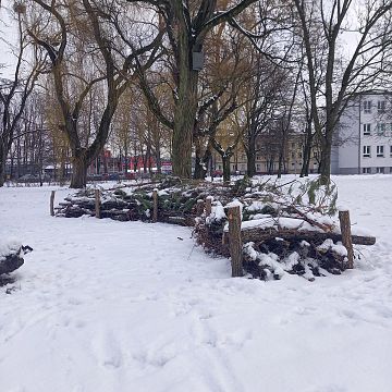 Grafika „Warkocz” z chrustu – mini strefa  dzikiej przyrody