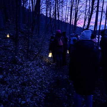Grafika W kilku słowach o Nocy Sów z Wdzydzkim Parkiem Krajobrazowym