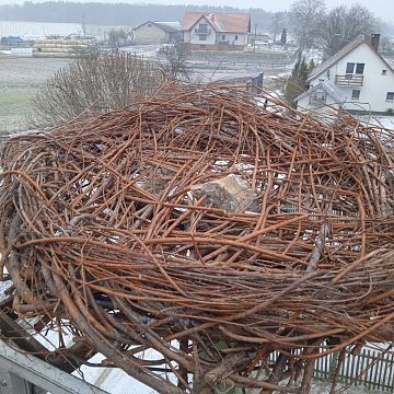 Grafika Oczekujemy na bociany –  zwiastun wiosny