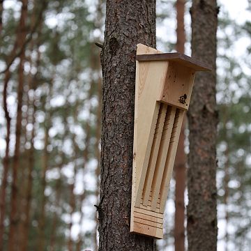 Grafika Nowe budki lęgowe dla ptaków i schrony dla nietoperzy we Wdzydzkim Parku Krajobrazowym