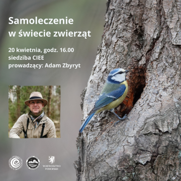 Grafika Samoleczenie zwierząt