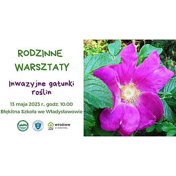Rodzinne Warsztaty Grafika Rodzinne Warsztaty
