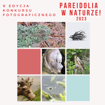 V edycja konkursu "Pareidolia w naturze" grafika