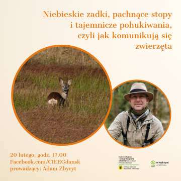 Prelekcja online - Niebieskie zadki, pachnące stopy i tajemnicze pohukiwania, czyli jak komunikują się zwierzęta Grafika Prelekcja online - Niebieskie zadki, pachnące stopy i tajemnicze pohukiwania, czyli jak komunikują się zwierzęta