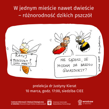 Grafika W jednym mieście nawet dwieście – różnorodność dzikich pszczół - prelekcja dr Justyny Kierat