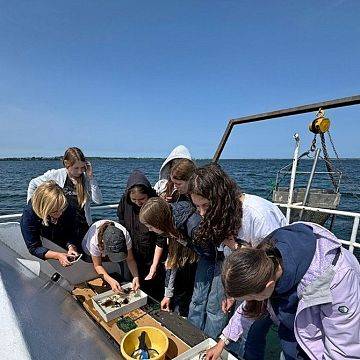 Grafika Poznajemy Naszą Zatokę 2025