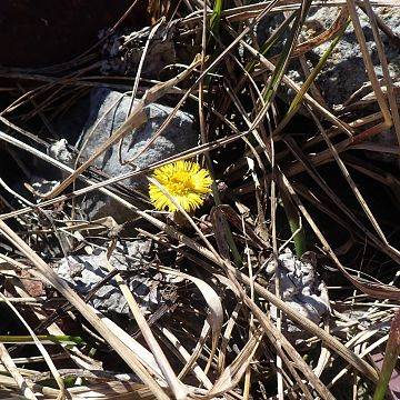 Grafika Czysta Rzeka - Czysta Każa i Chałupy - podsumowanie akcji