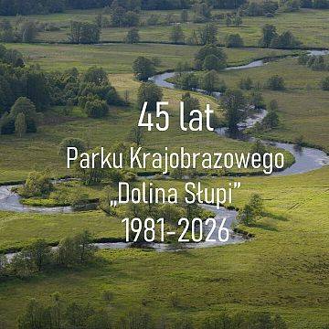 45 lat PK "Dolina Słupi", spotkajmy się na parkowych szlakach Grafika 45 lat PK "Dolina Słupi", spotkajmy się na parkowych szlakach
