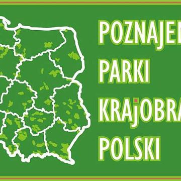 Grafika Poznajemy Parki Krajobrazowe Polski - wyniki etapu parkowego