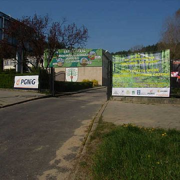 Grafika "Drzewko za oponę"