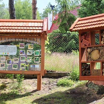 Grafika Akcja edukacyjna " Zaprośmy owady do naszych ogrodów"