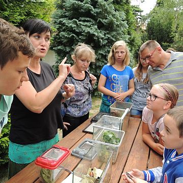 Grafika Nadmorski Piknik z Parkiem część I