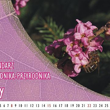 Grafika Kalendarz ogrodnika-przyrodnika - Luty