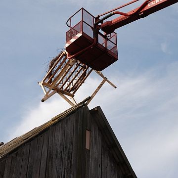 Grafika Nowe mieszkania dla bocianów.
