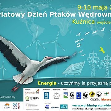 Grafika Światowy Dzień Ptaków Wędrownych-Kużnica 2015