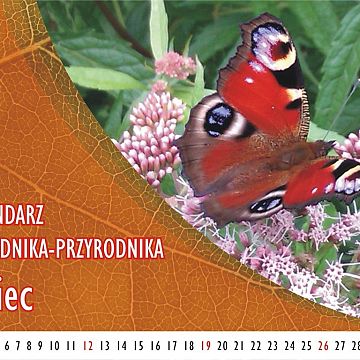 Grafika Kalendarz ogrodnika-przyrodnika - Lipiec