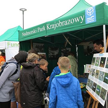 Grafika „Dzień Ryby” w Helu