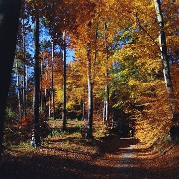 Grafika Konkurs fotograficzny "Mój Trójmiejski Park Krajobrazowy"