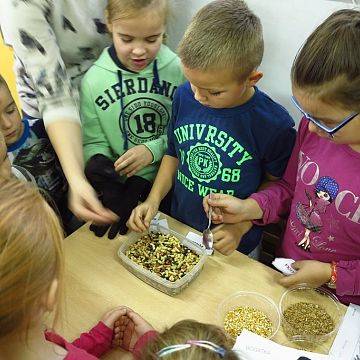 Grafika Warsztaty edukacyjne „Dokarmianie ptaków” w NPK