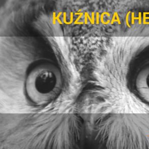 Grafika Noc Sów na Akcji Bałtyckiej w Kuźnicy