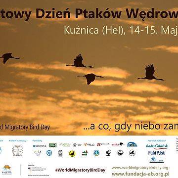 Grafika Światowy Dzień Ptaków Wędrownych – Kuźnica 2016
