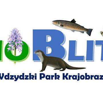 Grafika ZAPRASZENIE NA PRZYRODNICZY PIKNIK DO WDZYDZKIEGO PARKU KRAJOBRAZOWEGO