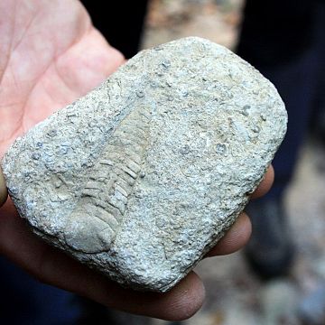 Grafika Wycieczka geologiczna - Nadmorski Klub Przyrodnika