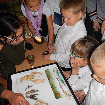 Grafika Rzecz o rakach- z wizytą u klas młodszych w Jezierzycach.