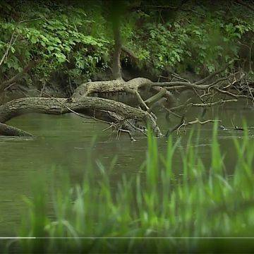Grafika Film pt. ,,Natura się o(d)płaca"