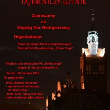 Grafika III SŁUPSKA NOC NIETOPERZOWA