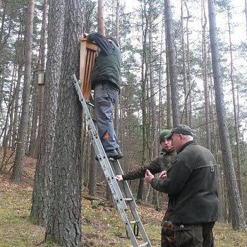 Grafika Specjalne ukrycia dla mopka
