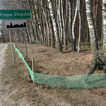 Grafika Na ratunek płazom!