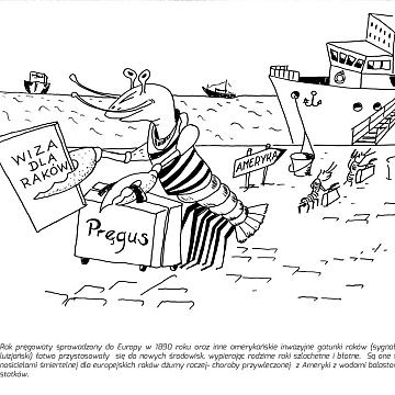 Grafika Weź udział w konkursie na najlepszy komiks - „Najeźdźcy- obce gatunki w natarciu”