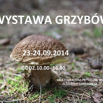 Grafika Zapraszamy na wystawę grzybów.