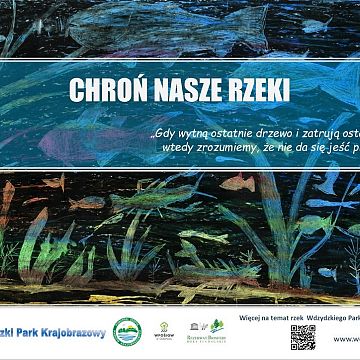 Wdzydzki Park Krajobrazowy Grafika Wdzydzki Park Krajobrazowy