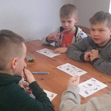 Grafika Ptasie zimowanie w PKMW