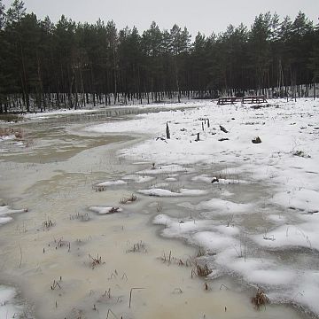Grafika Czynna ochrona użytku ekologicznego „Żabińskich Błoto”