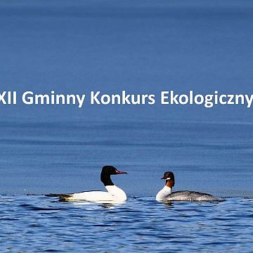 Grafika XII Gminny Konkurs Ekologiczny