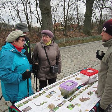 Grafika Warsztaty wiosenne płazie wędrówki