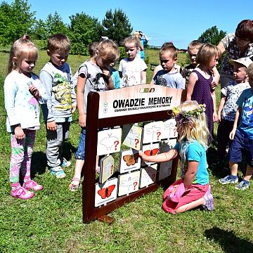 Grafika „Majówka entomologiczna”