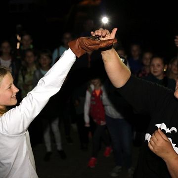 Grafika "Mów, mi nietoperz, przyjacielu!"