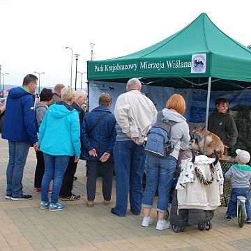 Grafika Park Krajobrazowy „Mierzeja Wiślana”  na Pikniku rodzinnym w Krynicy Morskiej.