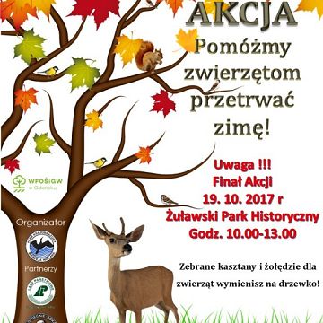 Grafika Finał akcji "Drzewko za kasztany i żołędzie"