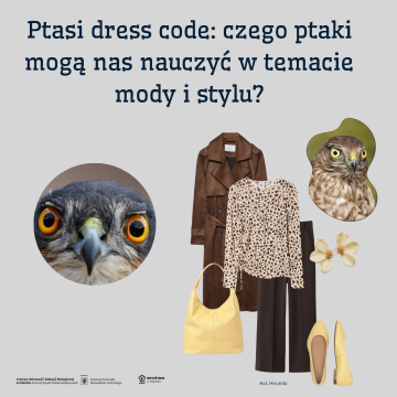 Grafika Ptasi dress code: czego ptaki mogą nas nauczyć w temacie mody i stylu?