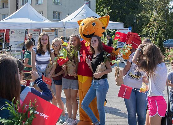 Grafika Pomorskie Dni Energii