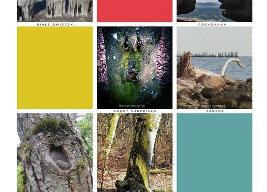 Grafika II edycja konkursu "Pareidolia w naturze"
