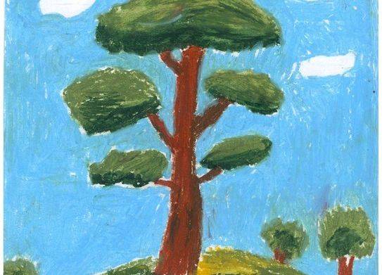 Grafika 8: Wyniki konkursu „Drzewa w krajobrazie Wdzydzkiego Parku Krajobrazowego”