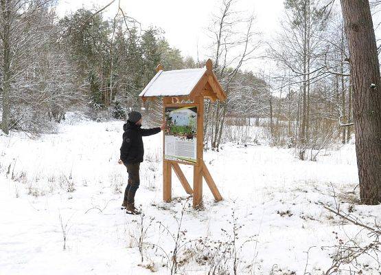 Grafika 6: Zimowy spacer we Wdzydzkim Parku Krajobrazowym
