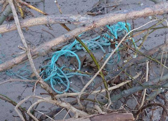 Resztki lin to pozostałości po sieciach rybackich, zagubionych podczas połowów. Stanowią zagrożenie dla wielu ryb i ssaków morskich.