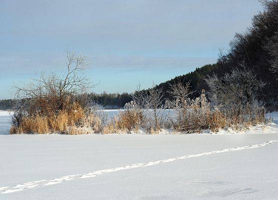 Pejzarz zimowy widok na zamarznięte, przykryte śniegiem jezioro. fot. J.Bork grafika